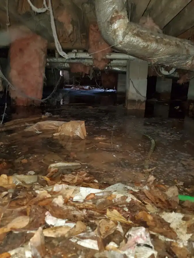 Crawl space flood assessment for Commercial Water Damage Restoration in Citrus Heights